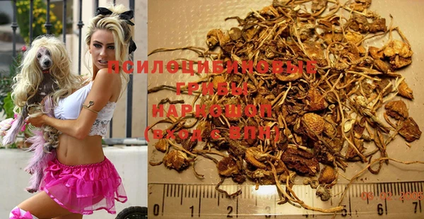 крисы Абинск
