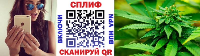 где продают   Лодейное Поле  Конопля гибрид 